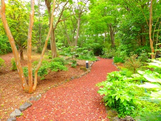 遊歩道