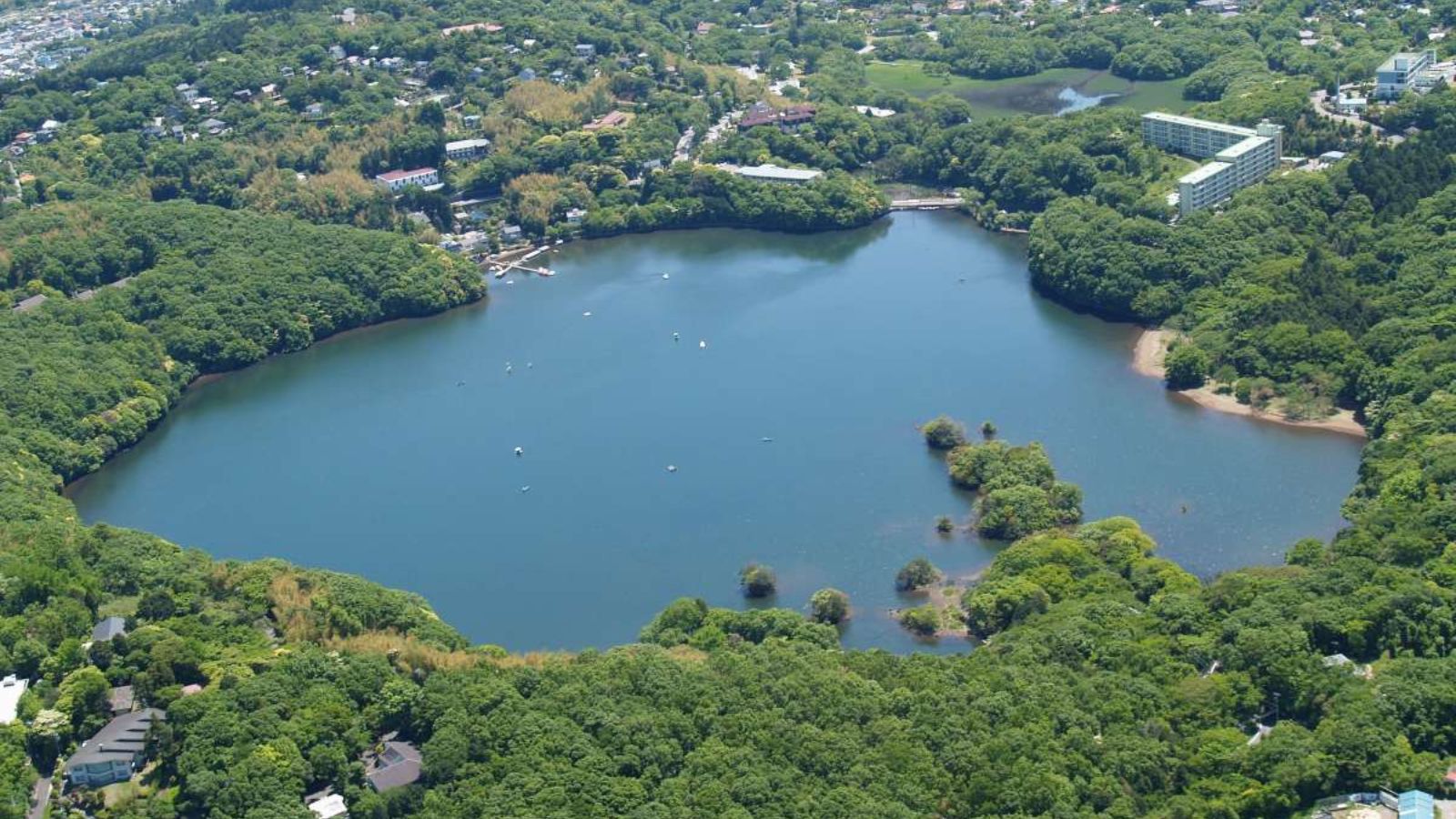 【周辺観光｜一碧湖】湖畔をのんびり歩けるの伊豆の瞳