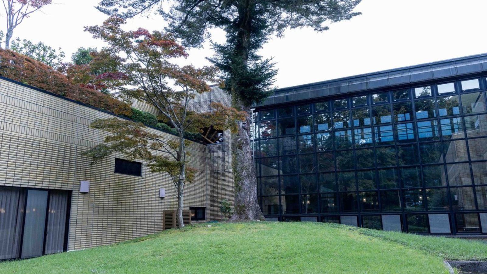 【中庭】大樹と芝生が広がる開放的な中庭