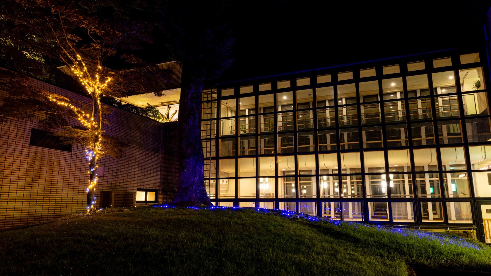 【中庭】光と緑が織りなす、夜の幻想的な中庭