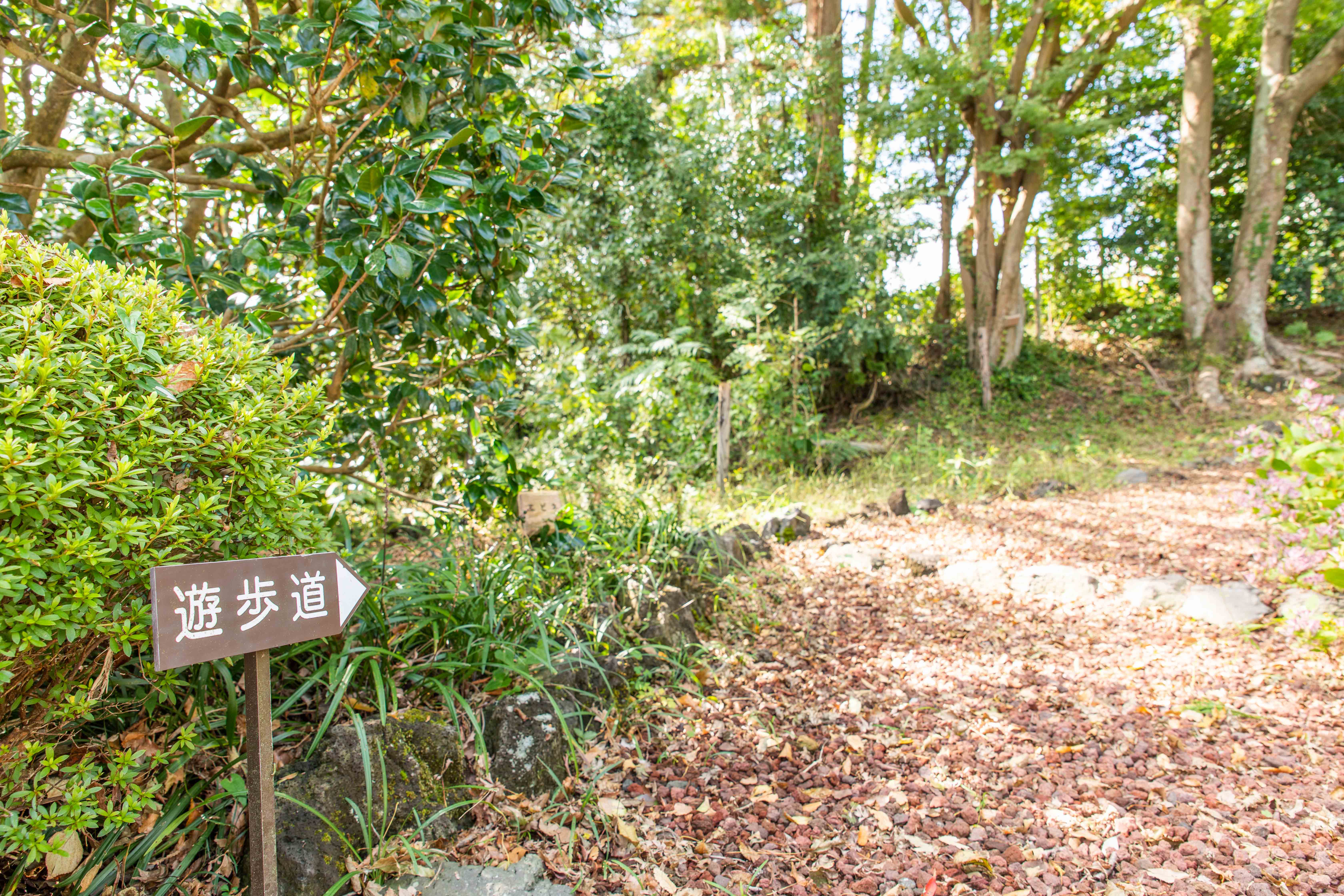 遊歩道