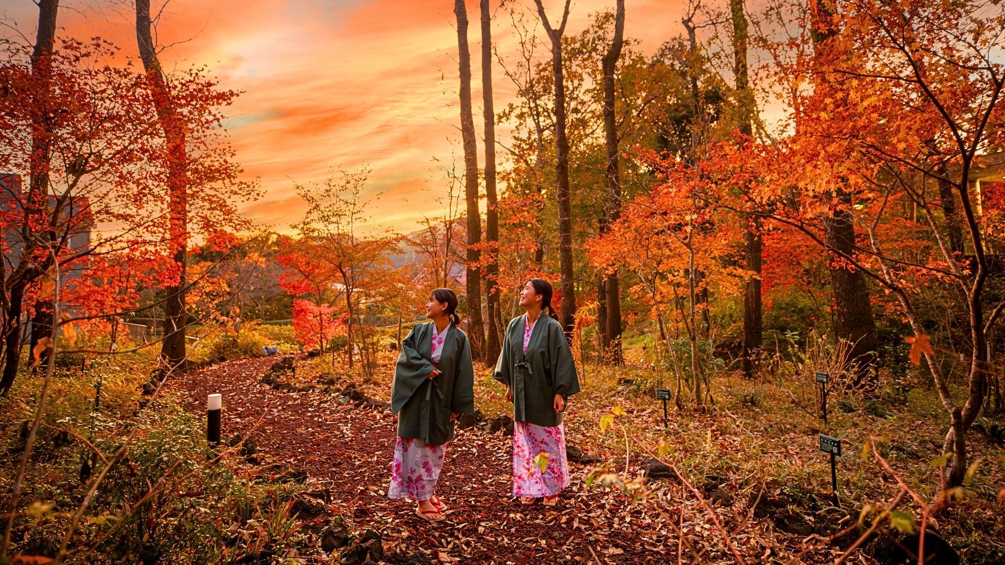 【紅葉シーズン】例年11月中旬より敷地内の遊歩道で紅葉をお愉しみいただけます。