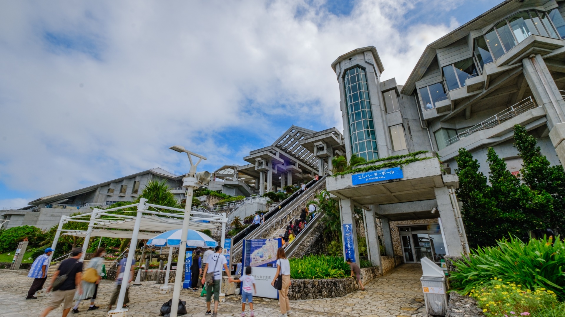 *周辺/沖縄美ら海水族館までは車で約10分