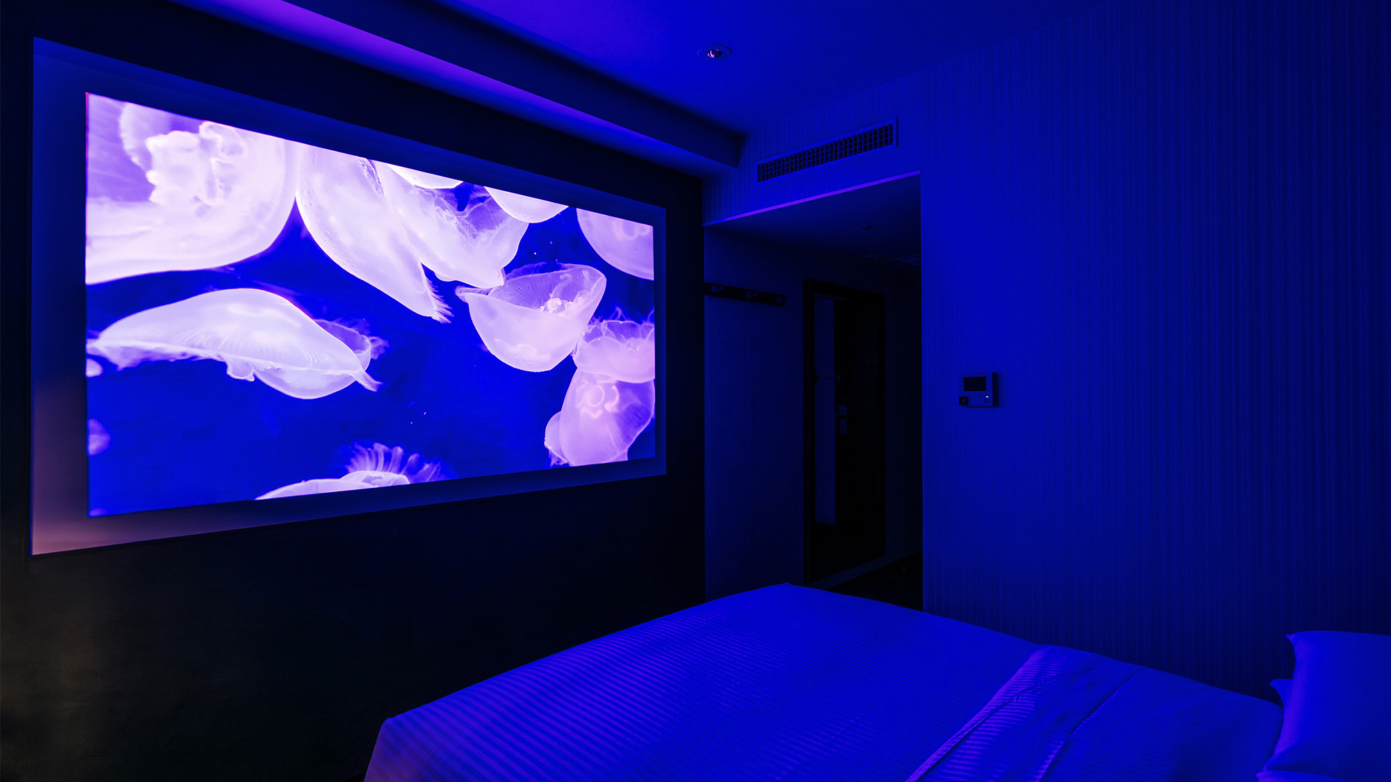 ボックスシアタールーム