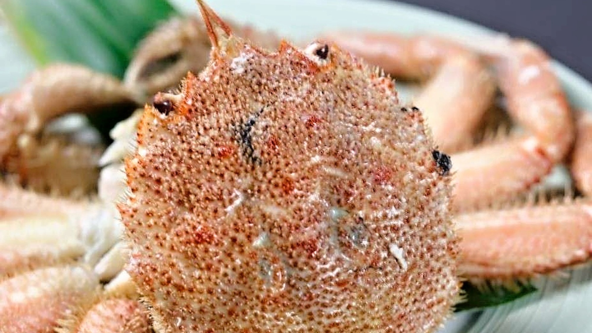 【三陸ぜいたくざんまい企画プラン】＜宮古産毛ガニ一杯付き＞三陸の冬の味覚を堪能（肉料理なし）／個室食