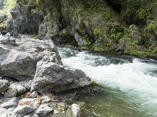 多摩川の流れ