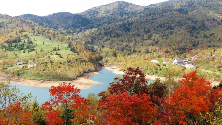 近隣の紅葉スポット紹介！　源泉かけ流しの温泉と飲み放題のバイキングプラン