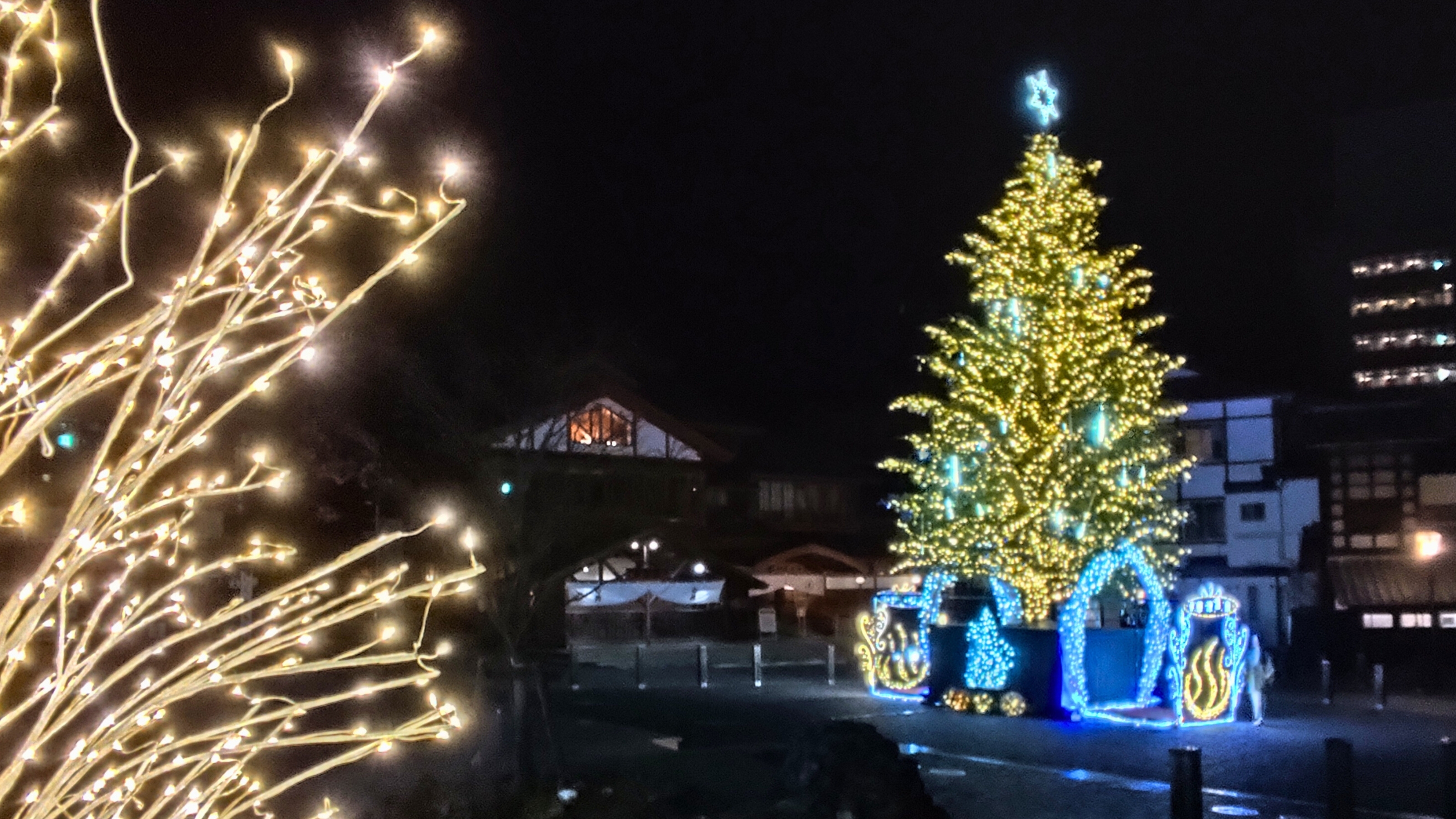 湯畑ライトアップ　クリスマスツリー