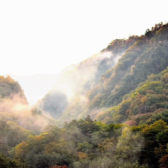 朝もやの川俣温泉