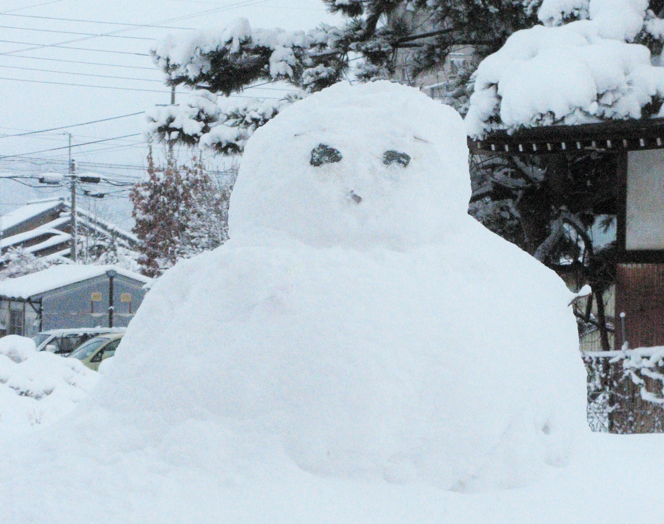 冬は敷地内で雪遊びも