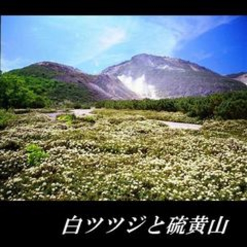 ツツジと硫黄山 (4)