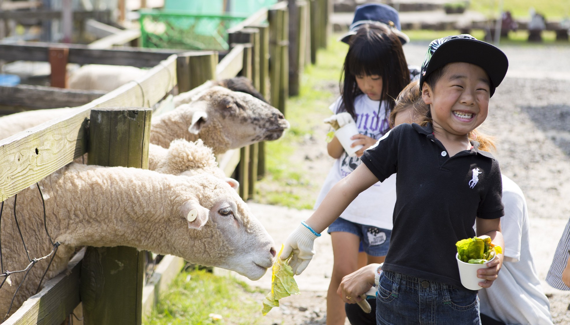◆丹後王国「食のみやこ」で遊びつくす！＆大浴場でごゆっくり　■素泊り（食事なし）