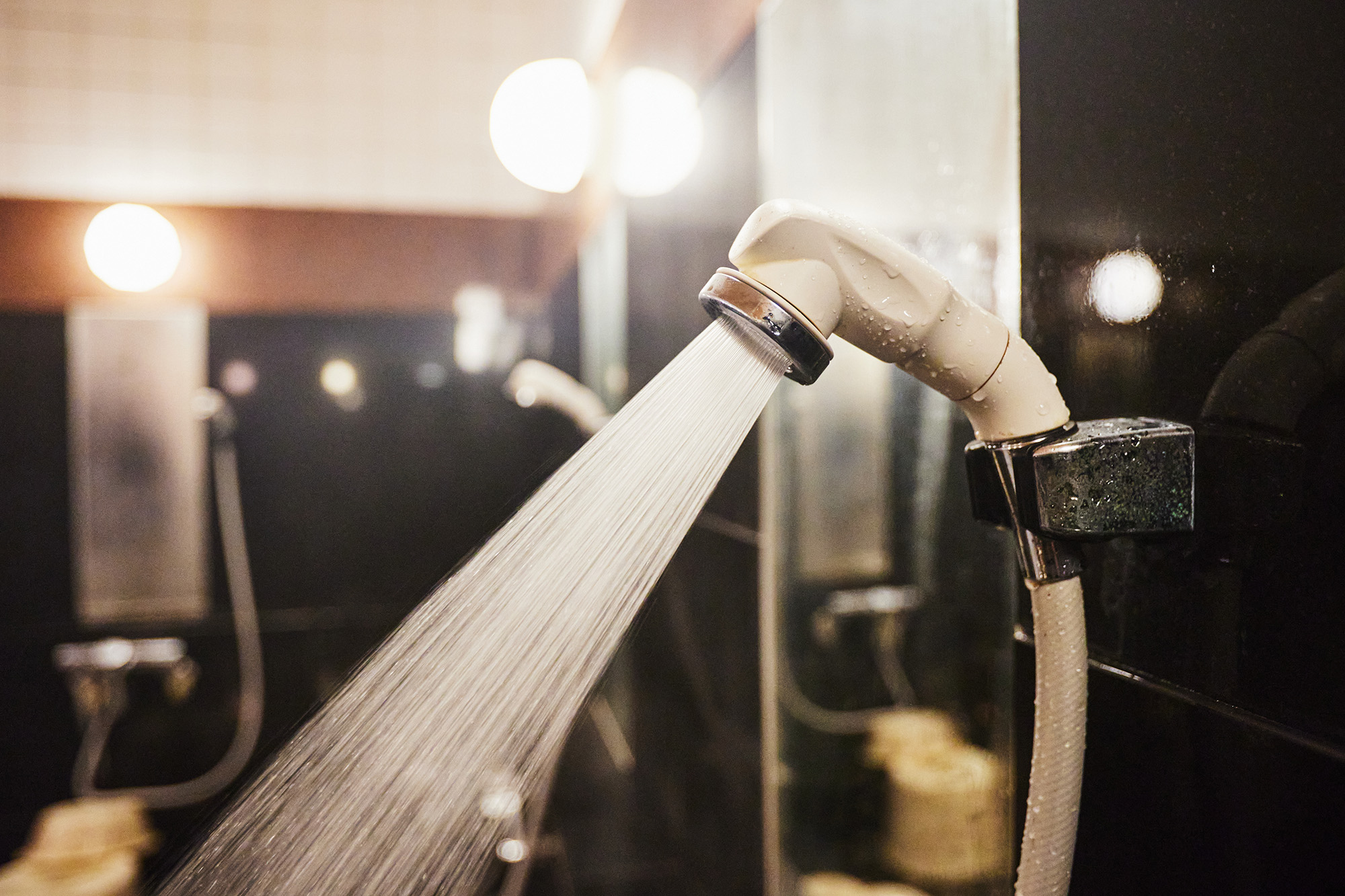 ファイテンマイクロバブルシャワーヘッド導入