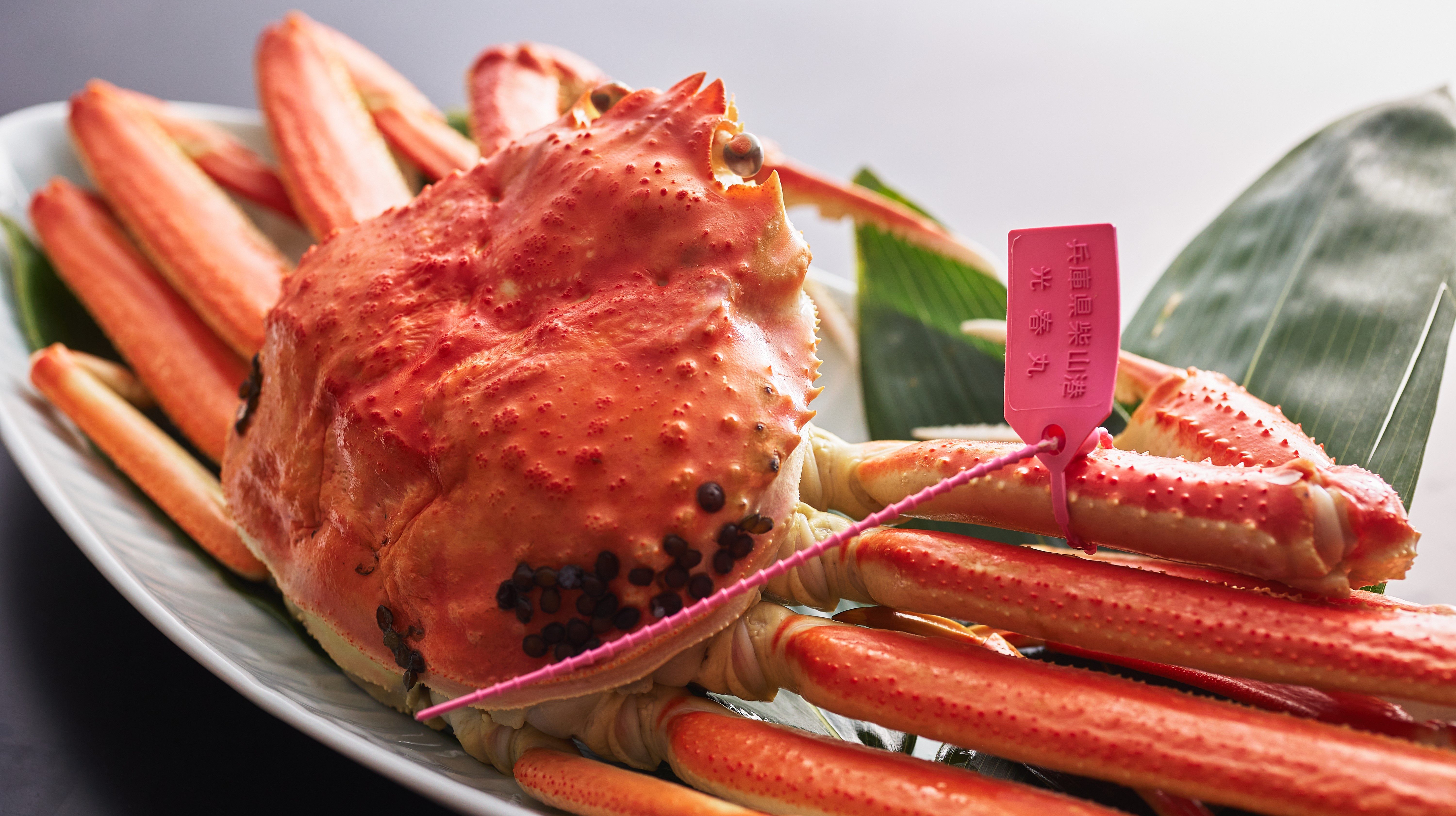 茹で蟹（２人前）