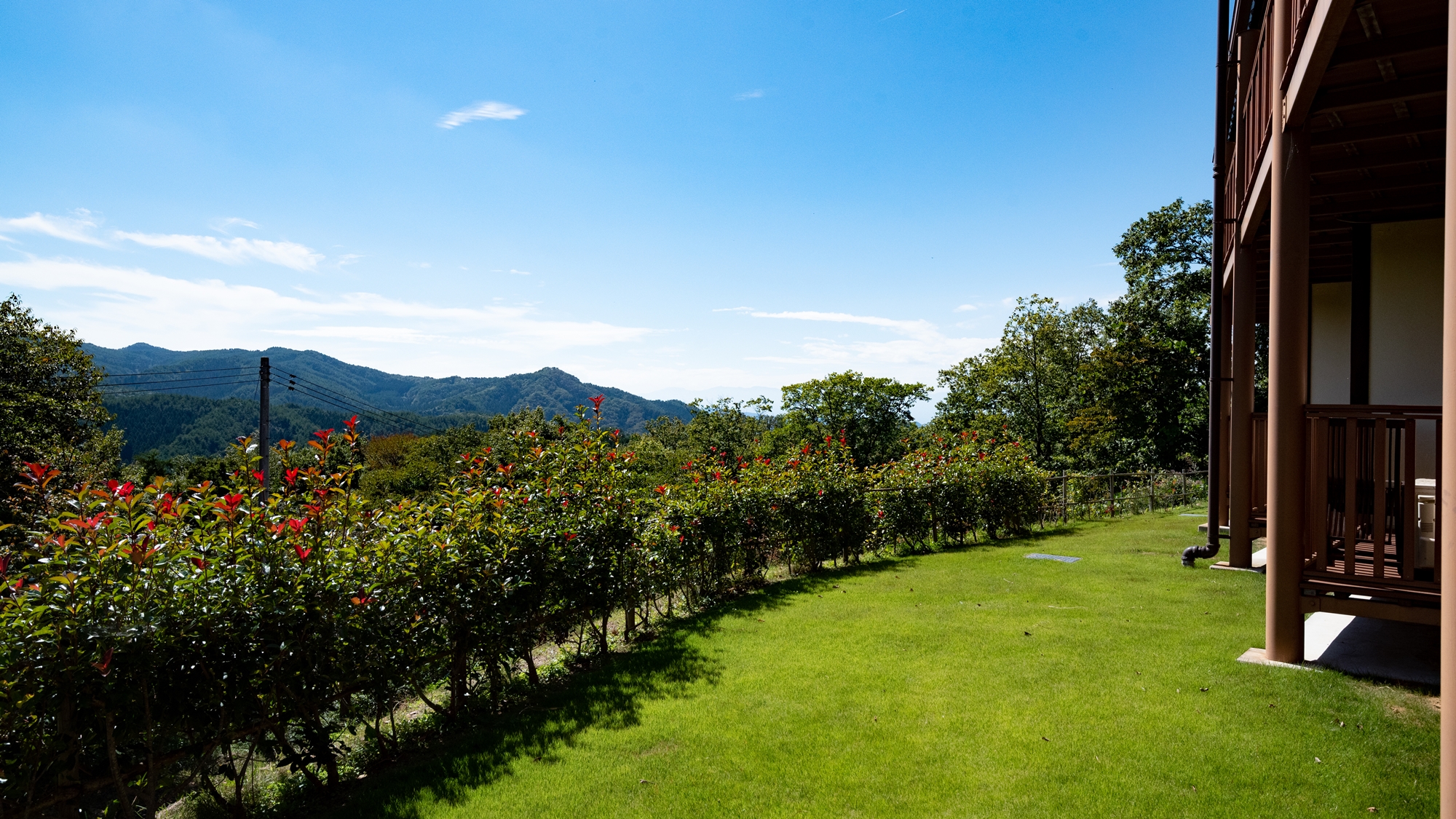 紅彩館 屋外風景（新緑）