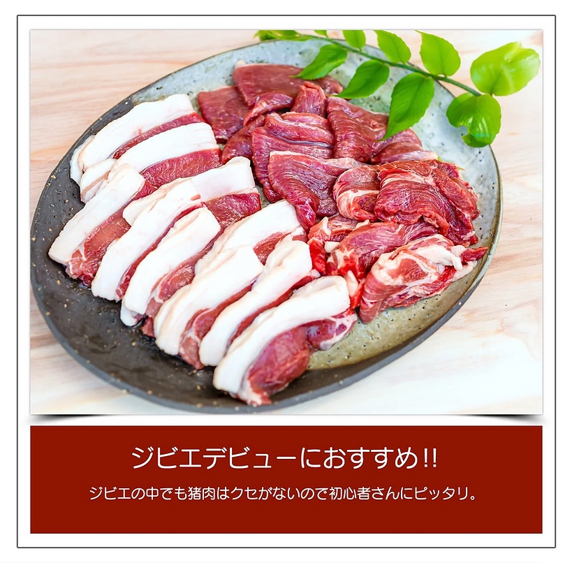 南房総千倉産の厳選したイノシシ肉（ジビエ）が付いたBBQプラン！ご家族お友達同士でワイワイ♪