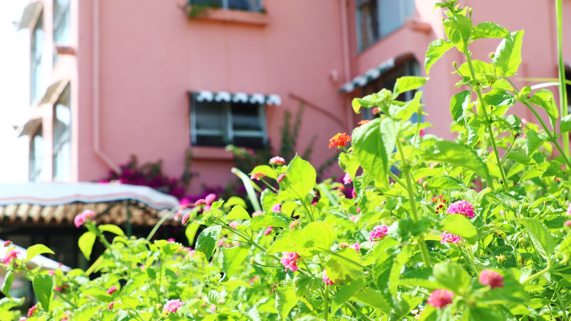 【 特上寿司 】地元老舗寿司屋夕食はお部屋へご提供♪ -2食付-