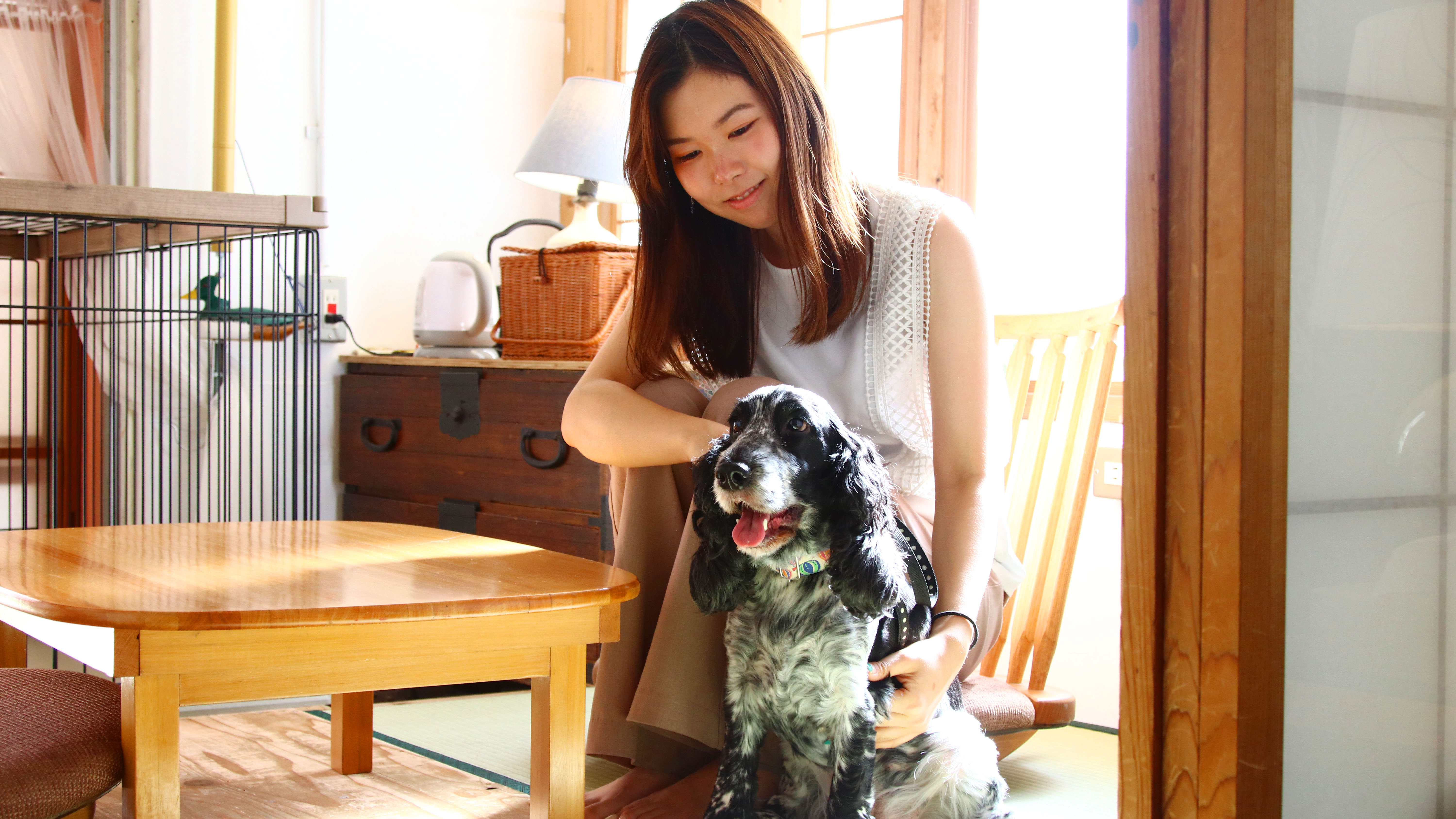 101ガーデンビュー◆ワンちゃんOKのお部屋のイメージ*