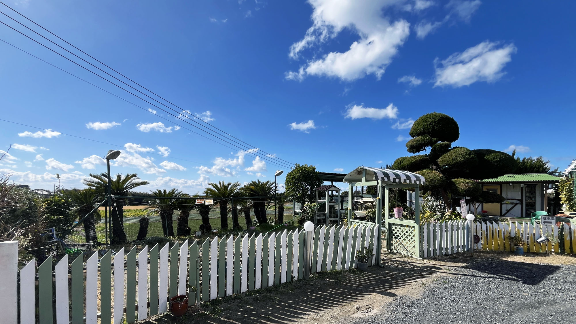 ドッグラン◆青空の下、思いっきり走ろう！ワンちゃんの楽園♪*
