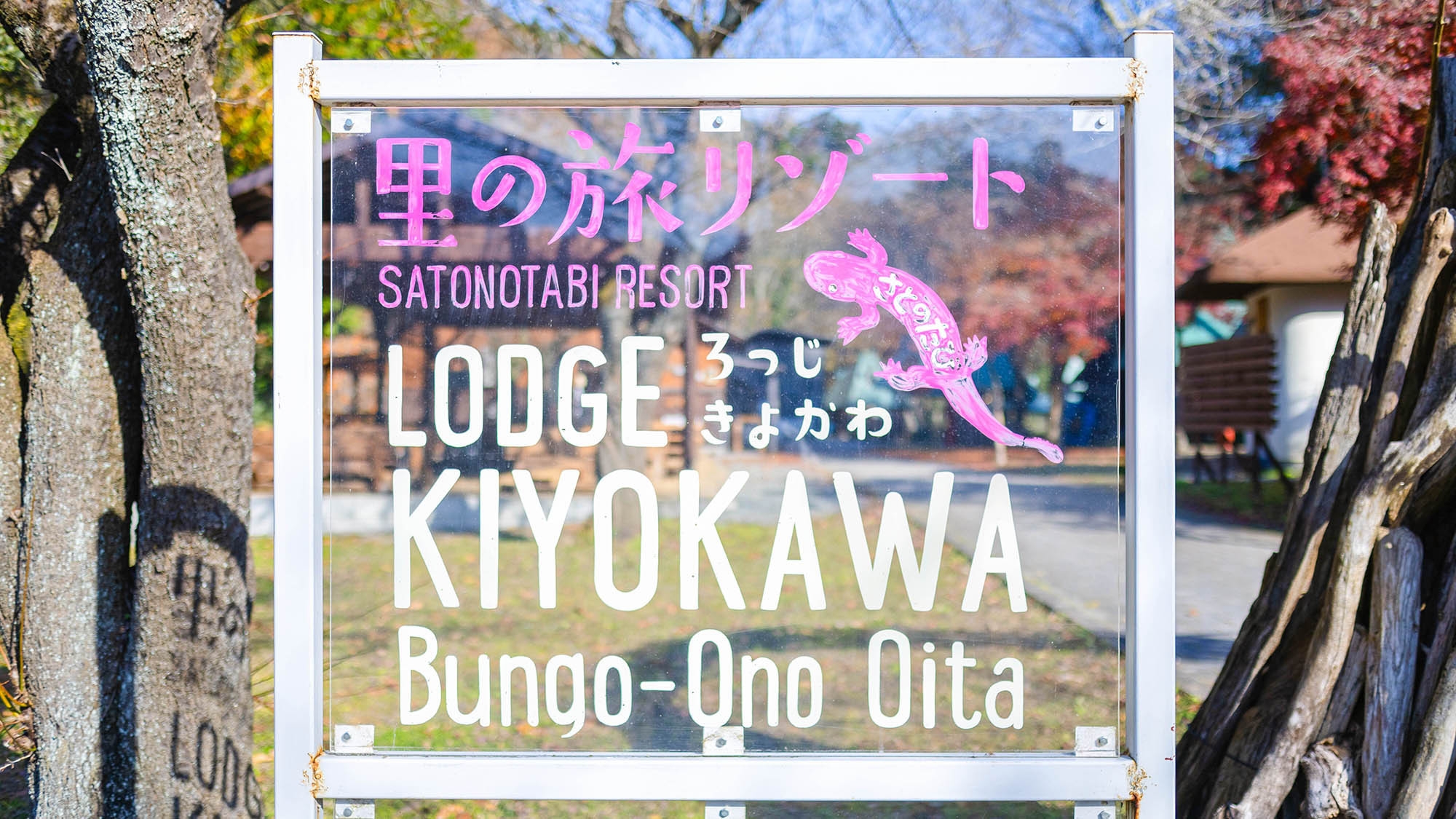 【楽天月末セール】木のぬくもりが暖かい♪広々ログハウスでゆっくり過ごせる★素泊まりプラン