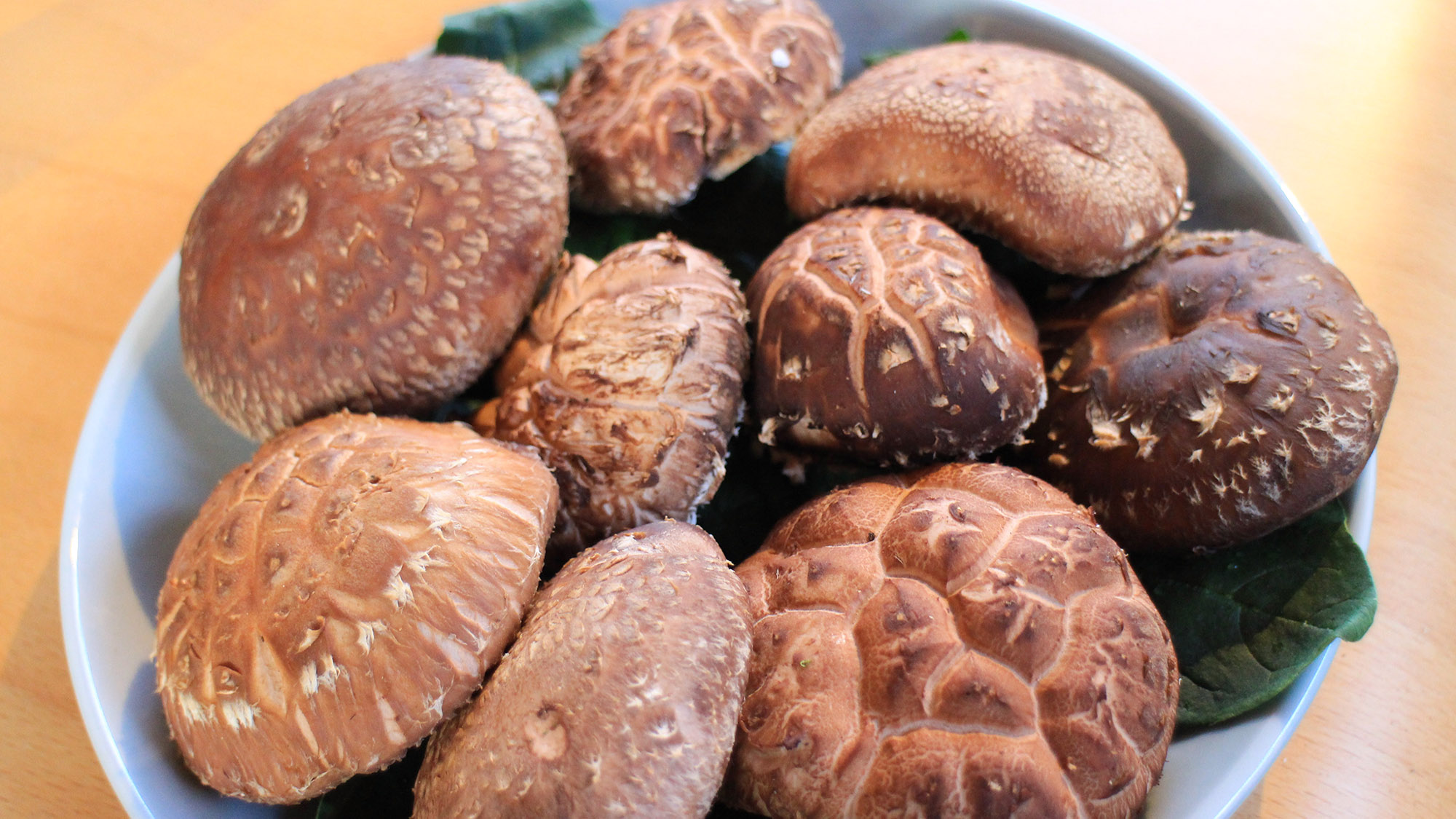 ・【食事】ロッジきよかわの原木しいたけ