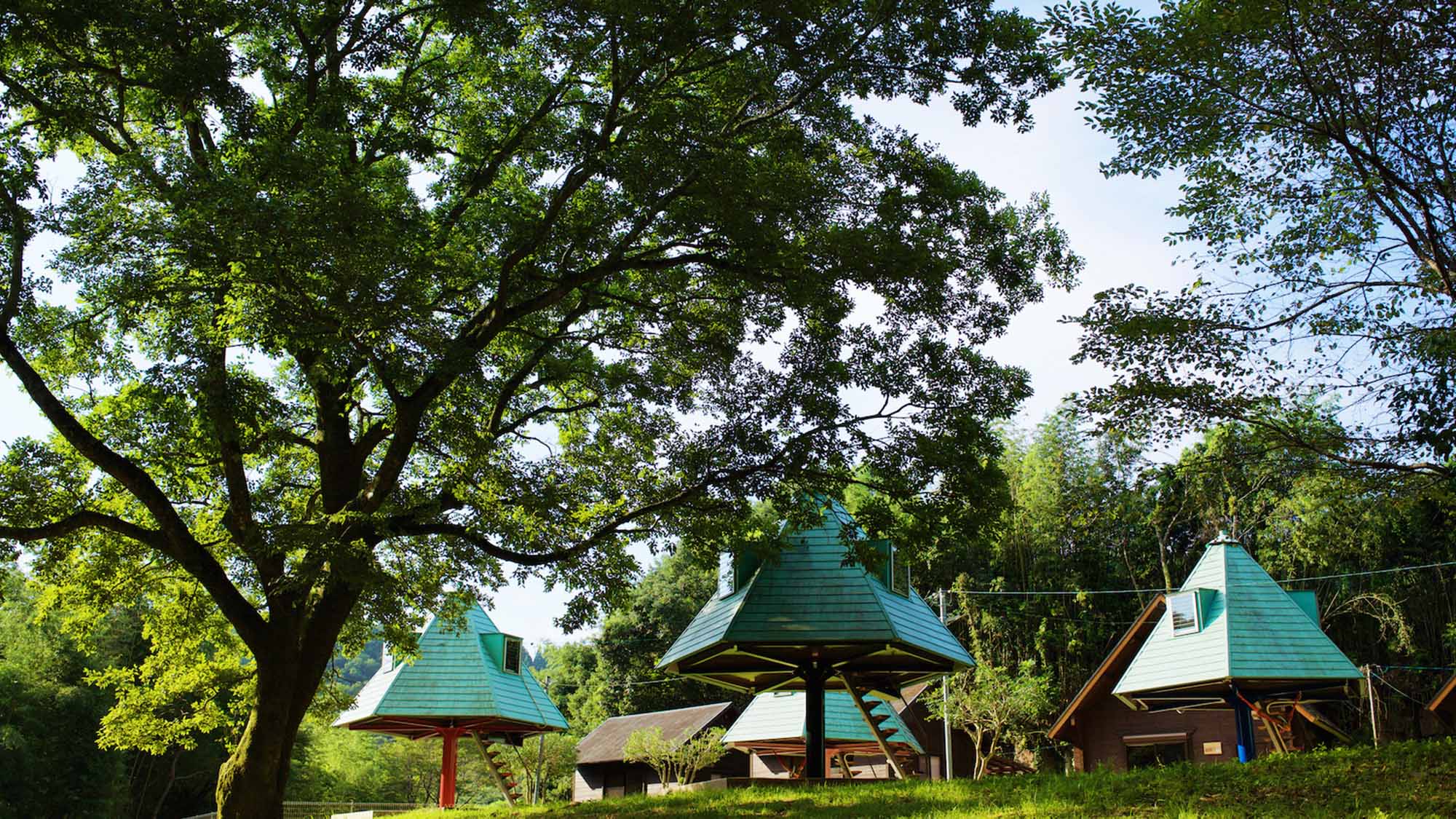 ・【外観】ツリー型ハウス