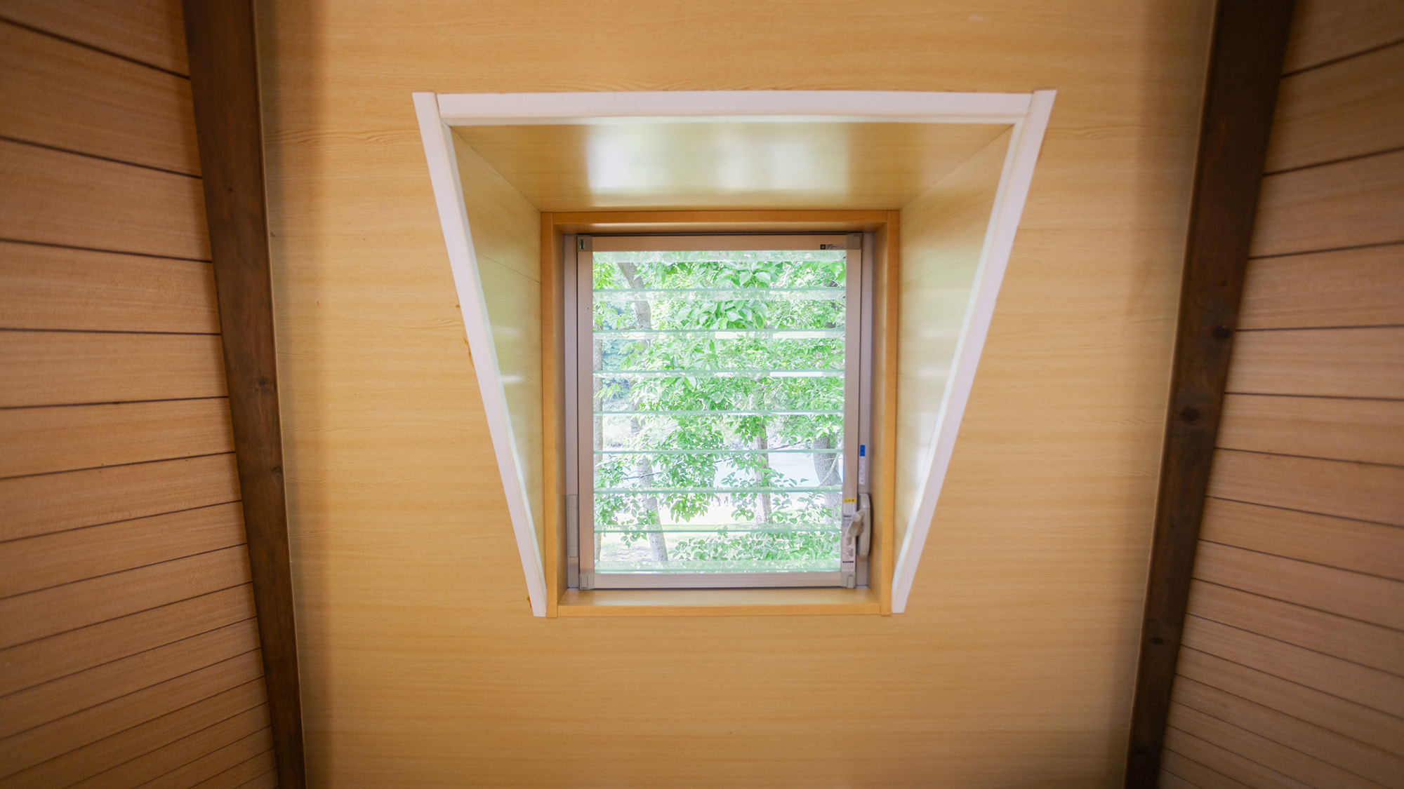 ・【部屋】ツリー型ハウス