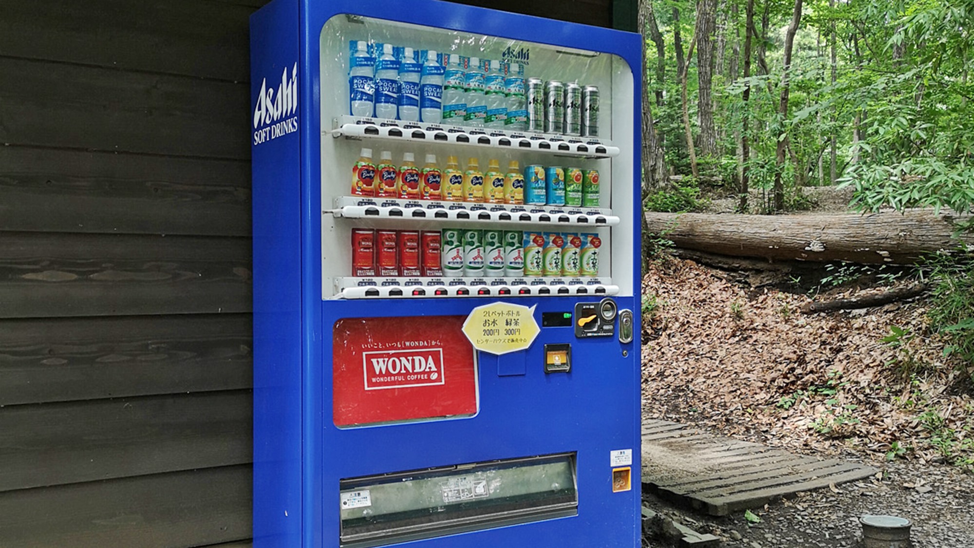 *【案内図】炊事場・ランドリー・自動販売機など完備！広々とした森の中をぜひご散策ください。