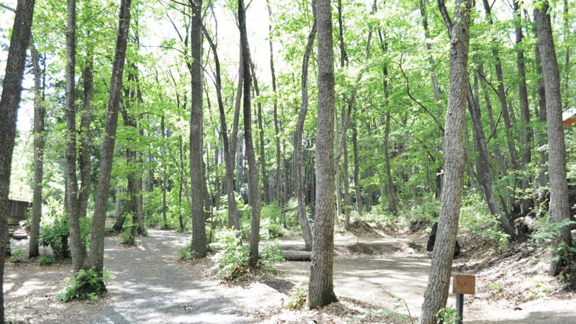 *【キャンプ場】大自然にいるだけで癒されます♪キャンプサイトはペット無料です！