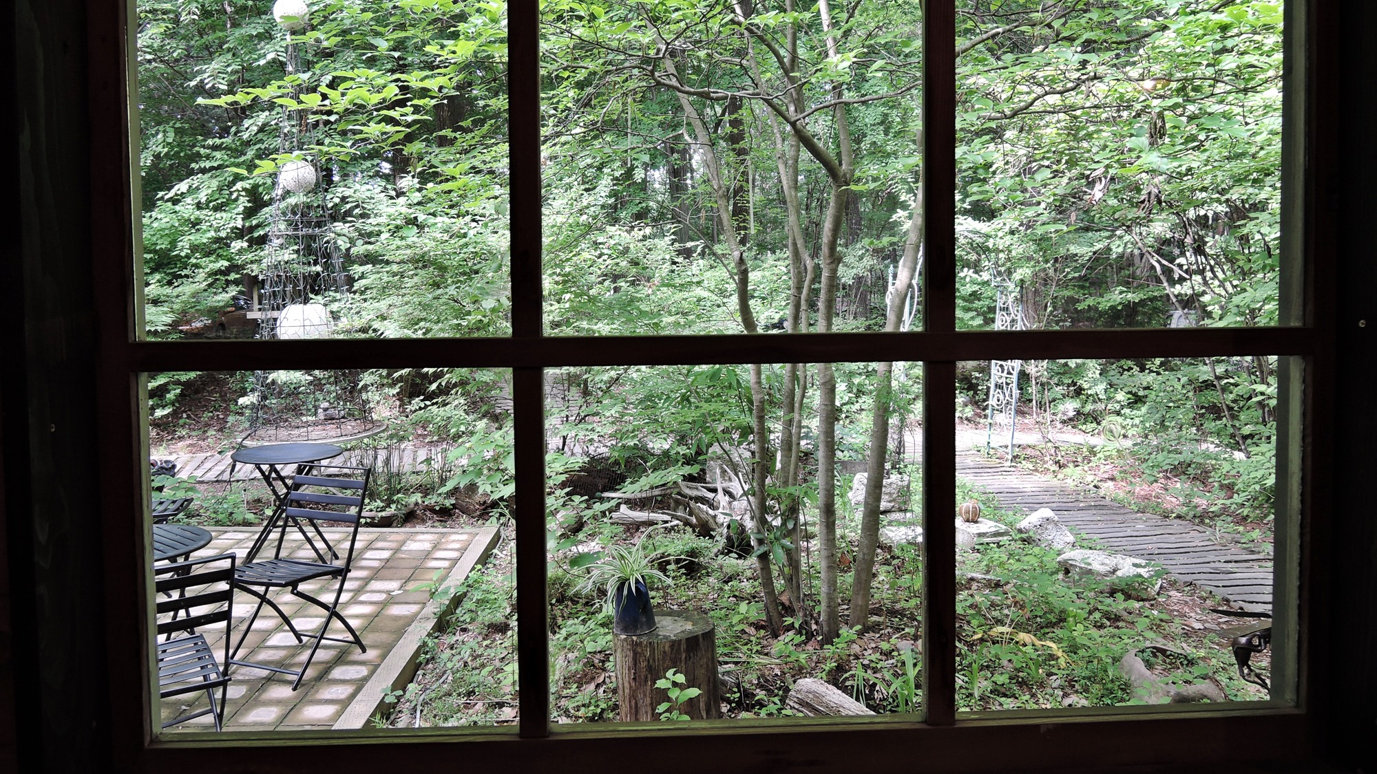 *【施設／カフェ】四季折々表情を変える豊かな自然をご覧いただけます。