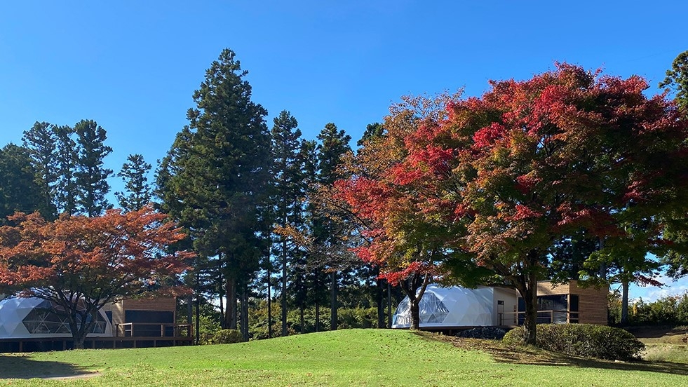 【サプライズ大作戦！ 誕生日や記念日をバルーンやケーキに想いを込めて  グランピング1泊2食付き！】