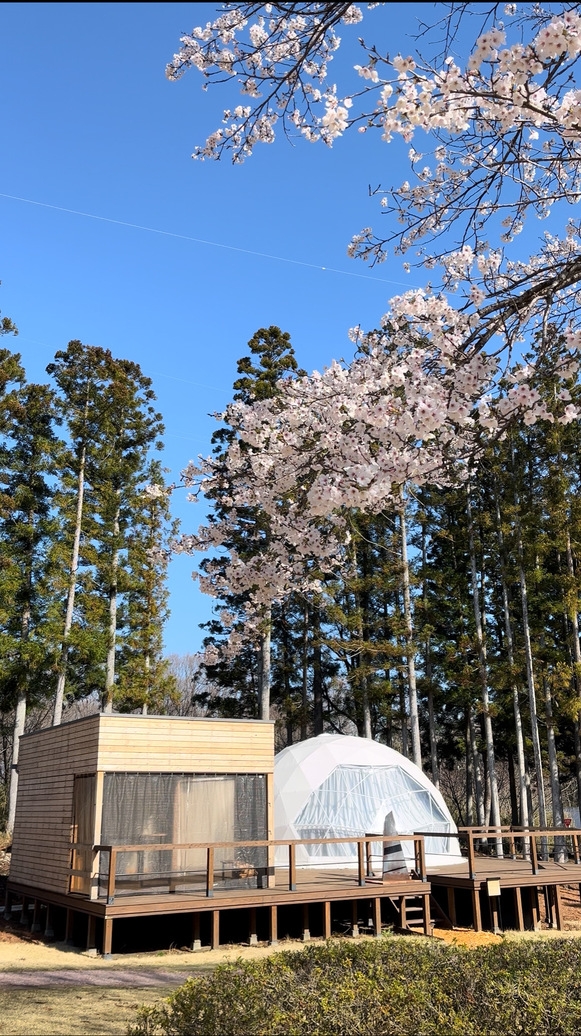 【グループ卒業旅行】期間限定　卒業の思い出は那須グランピングで！　グランピング1泊2食付き！