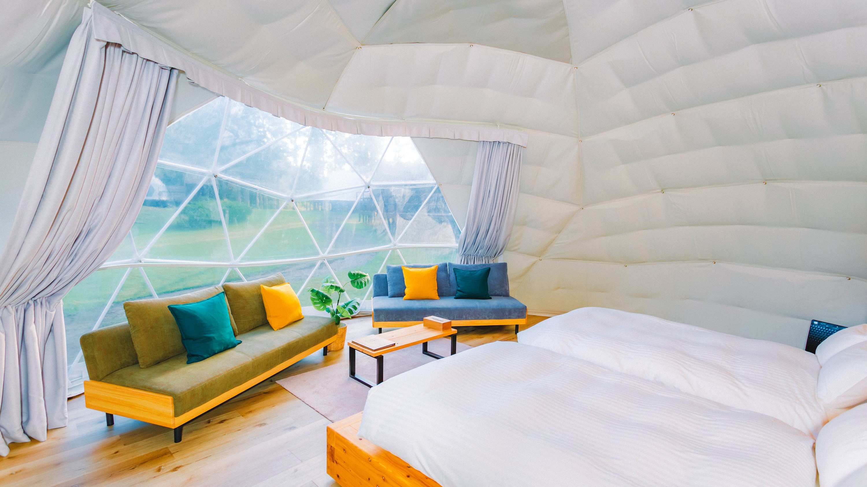 ドーム内（広角）