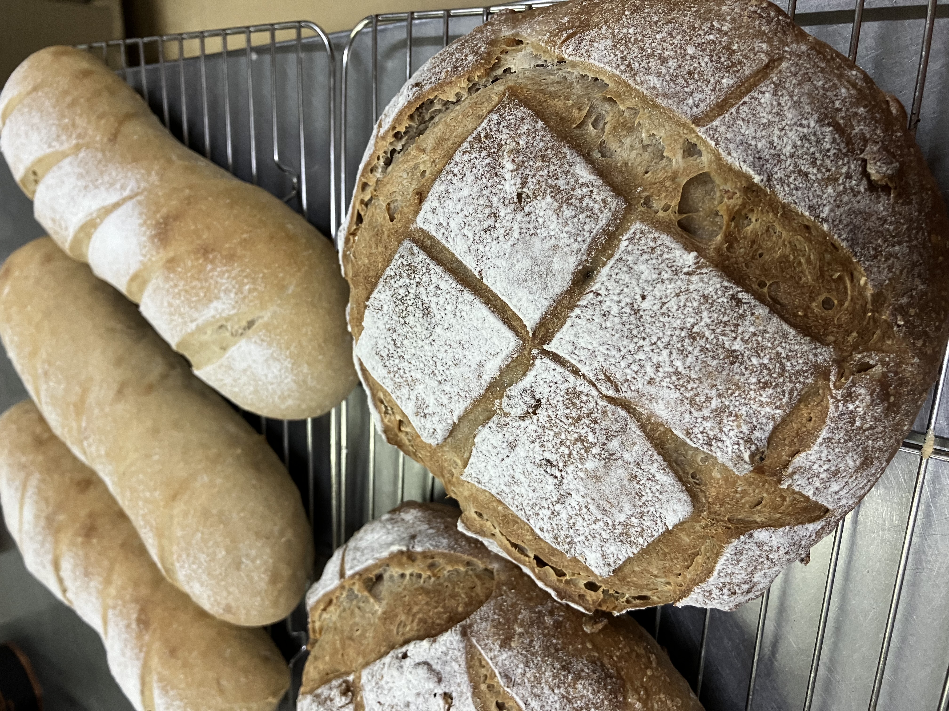自家培養酵母パン