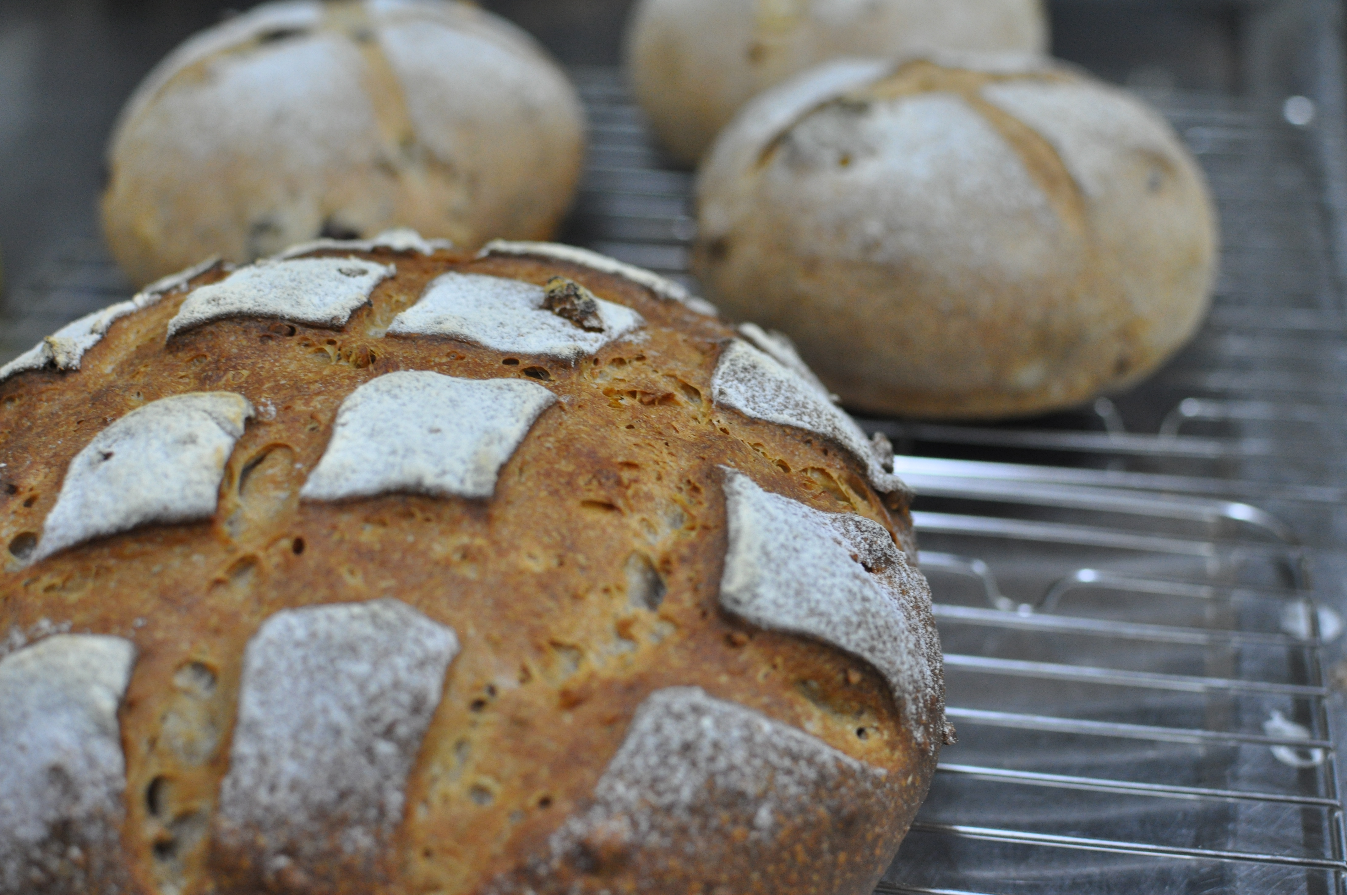 自家培養酵母パン
