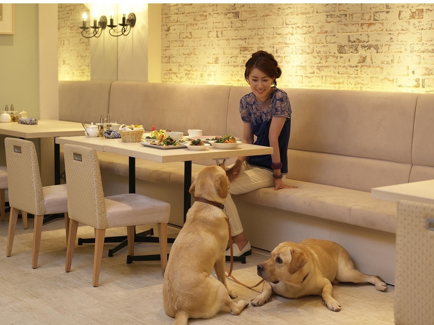 【LUXDAYSセール】【スタンダード】愛犬と食事も寝る時もずっと一緒／朝食ビュッフェ付