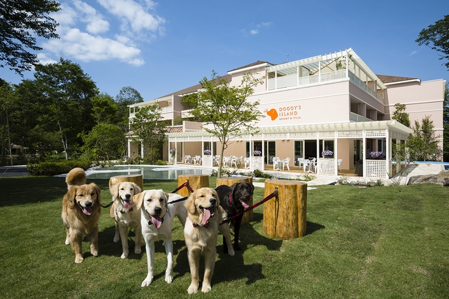 【LUXDAYSセール】【スタンダード】愛犬と食事も寝る時もずっと一緒／朝食ビュッフェ付