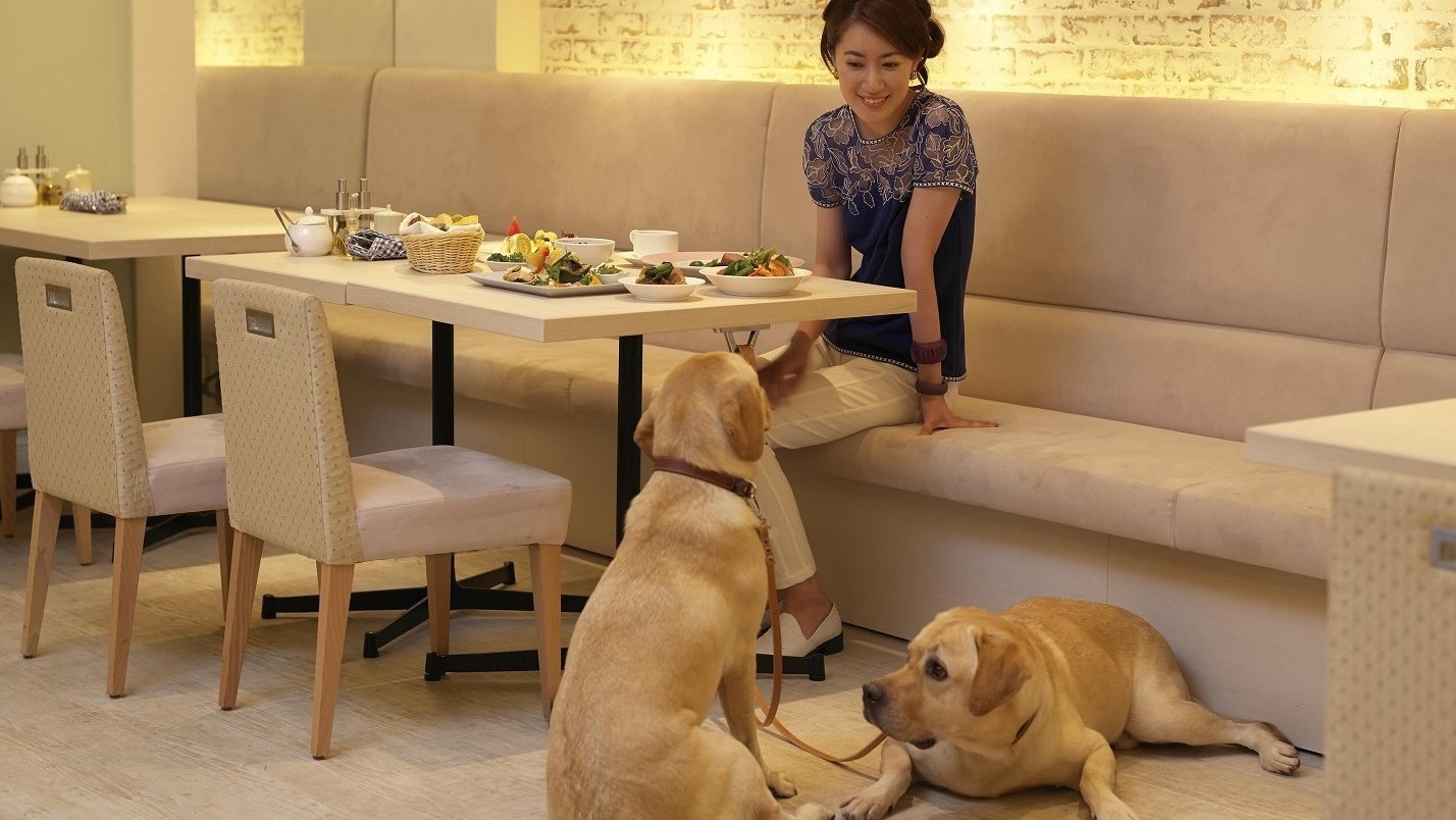 【スタンダードプラン／夕朝食ブッフェ付】愛犬用ブッフェコーナーがあるレストランで一緒に食事を楽しめる