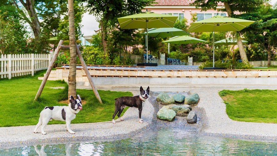 【小型犬専用ドッグラン】ベンチを備え、水遊びする愛犬を近くで見守ることができます。（最大水深は50c
