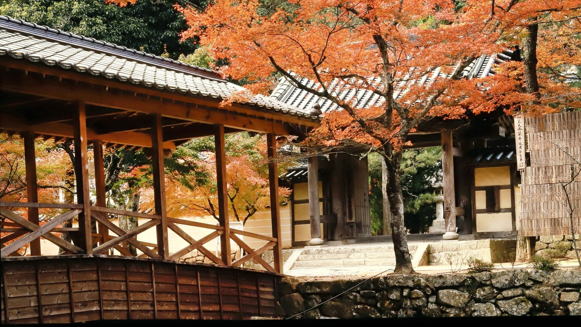 仏通寺の紅葉