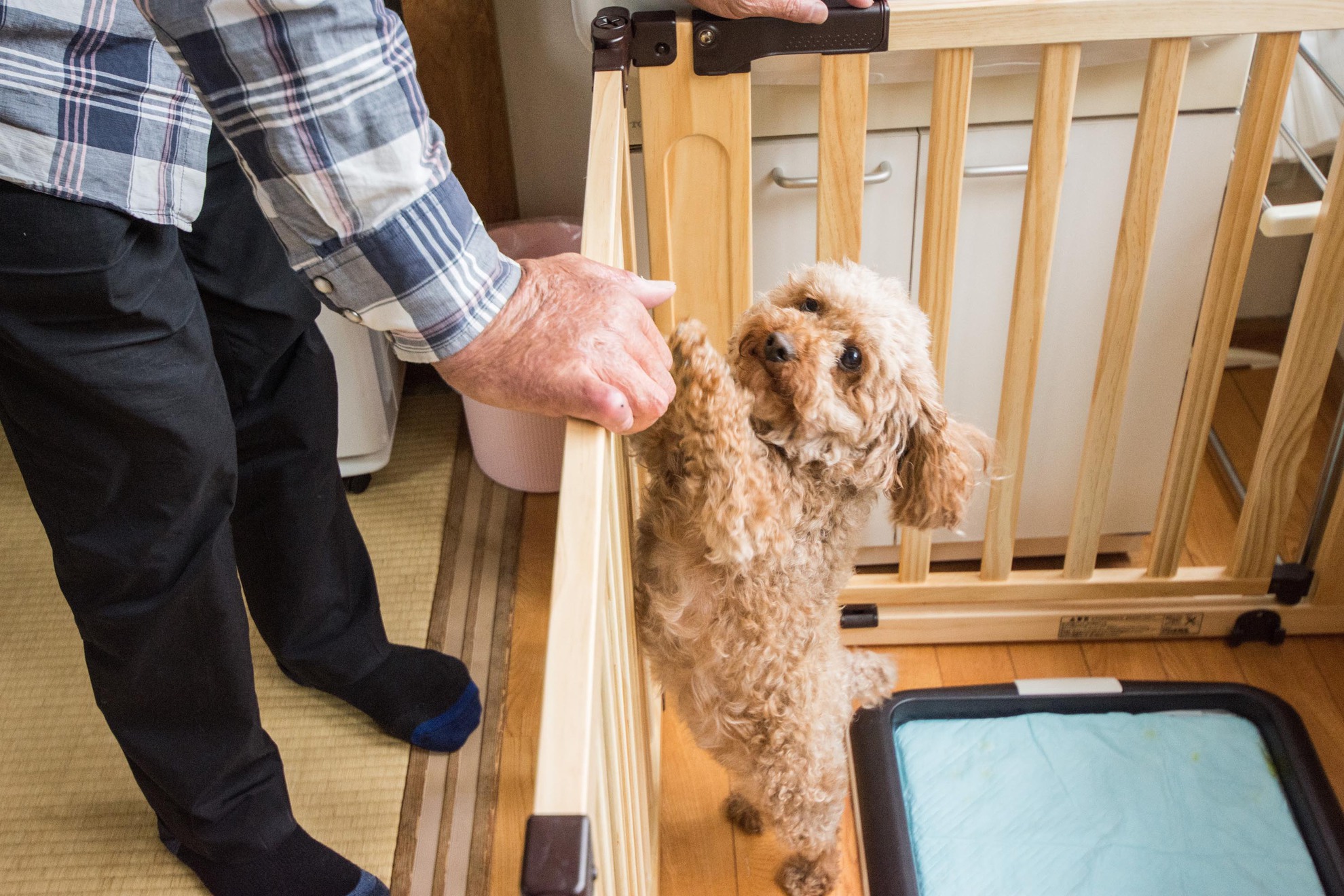 【ペットOK】ペットとお気軽温泉満喫旅★22時までチェックインOK＆無料のトーストサービス【素泊り】