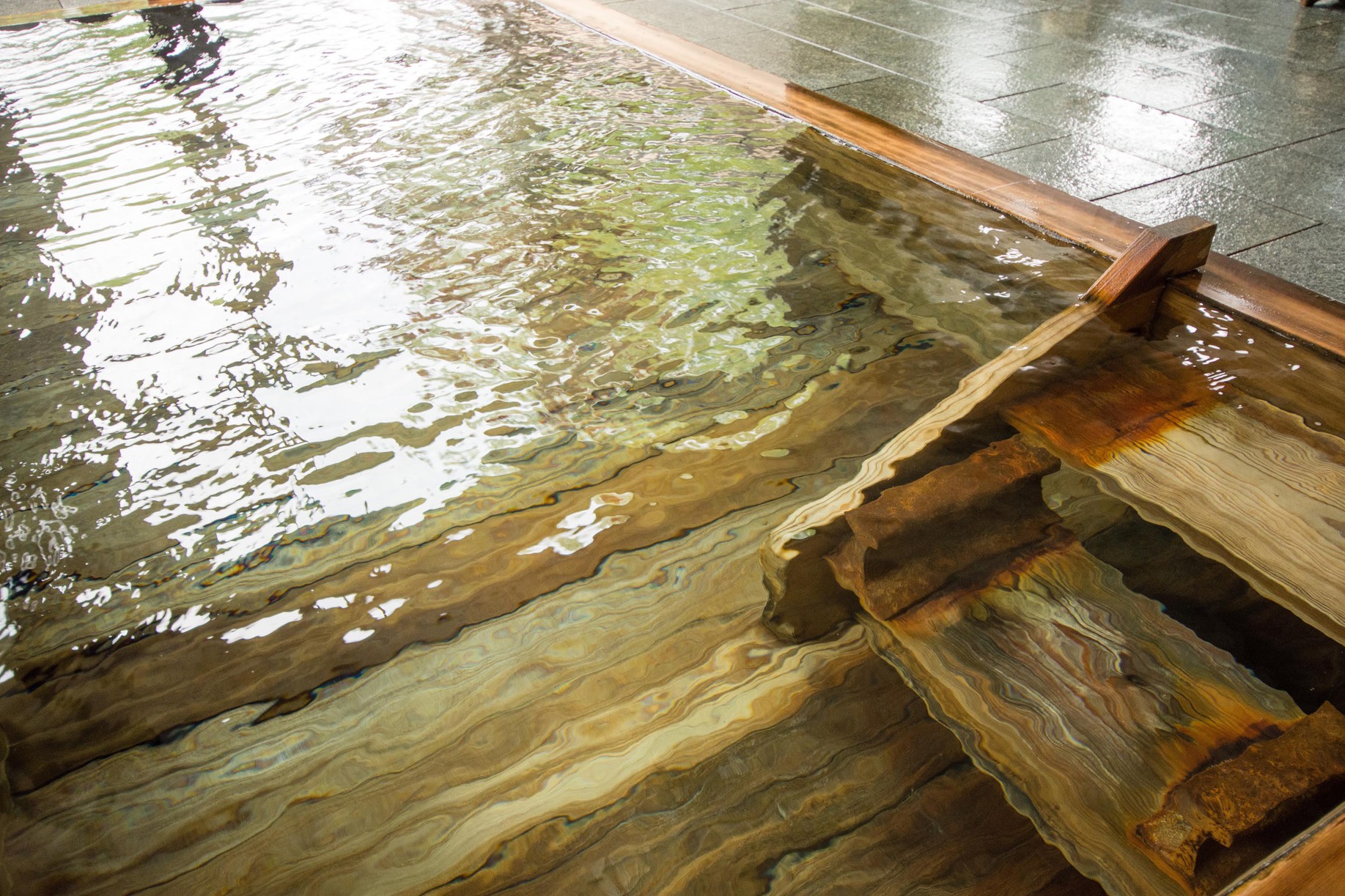 【とちぎのブランド牛で極上旅】ホンモノを味わうグルメ旅！贅沢を楽しみたい方へ・・・【1泊2食】