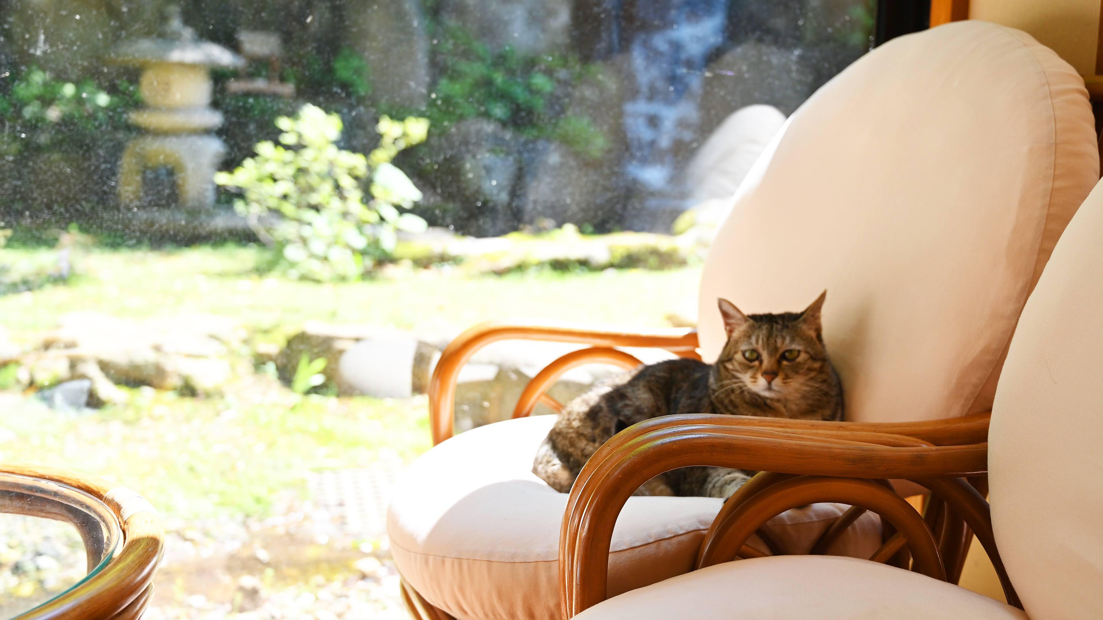 那須塩原で春まで楽しむ、赤沢温泉旅館の贅沢あんこう鍋