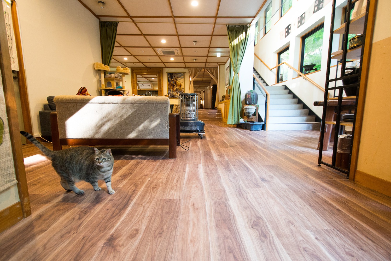 【1泊2食付】旅を楽しむ温泉宿♪四季を彩る創作料理と疲れを癒す赤沢源泉