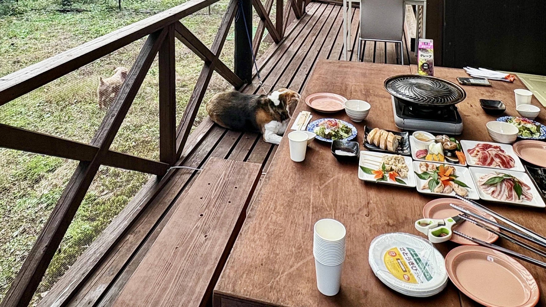 【赤沢山荘】ドッグラン／BBQ設備有り