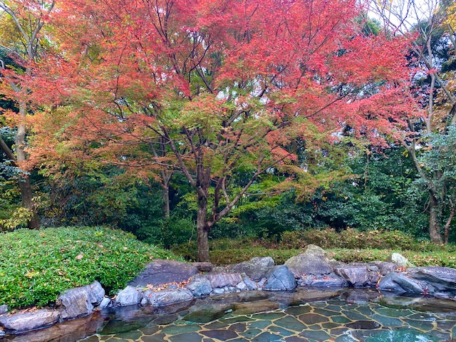 もりの湯（露天紅葉）