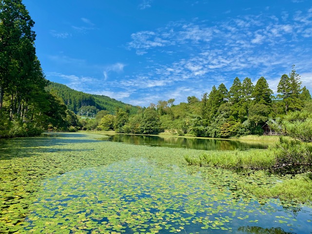 周辺観光：麻生池