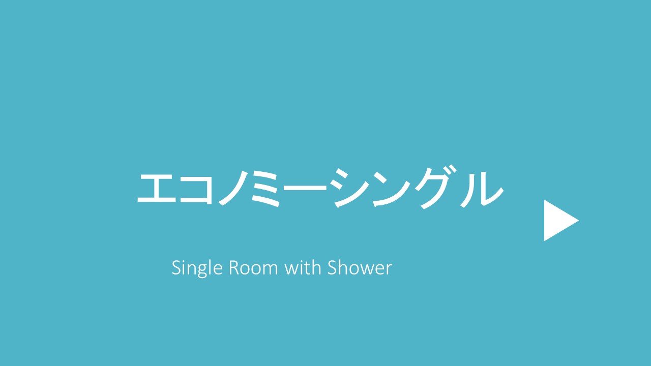 エコノミーシングル