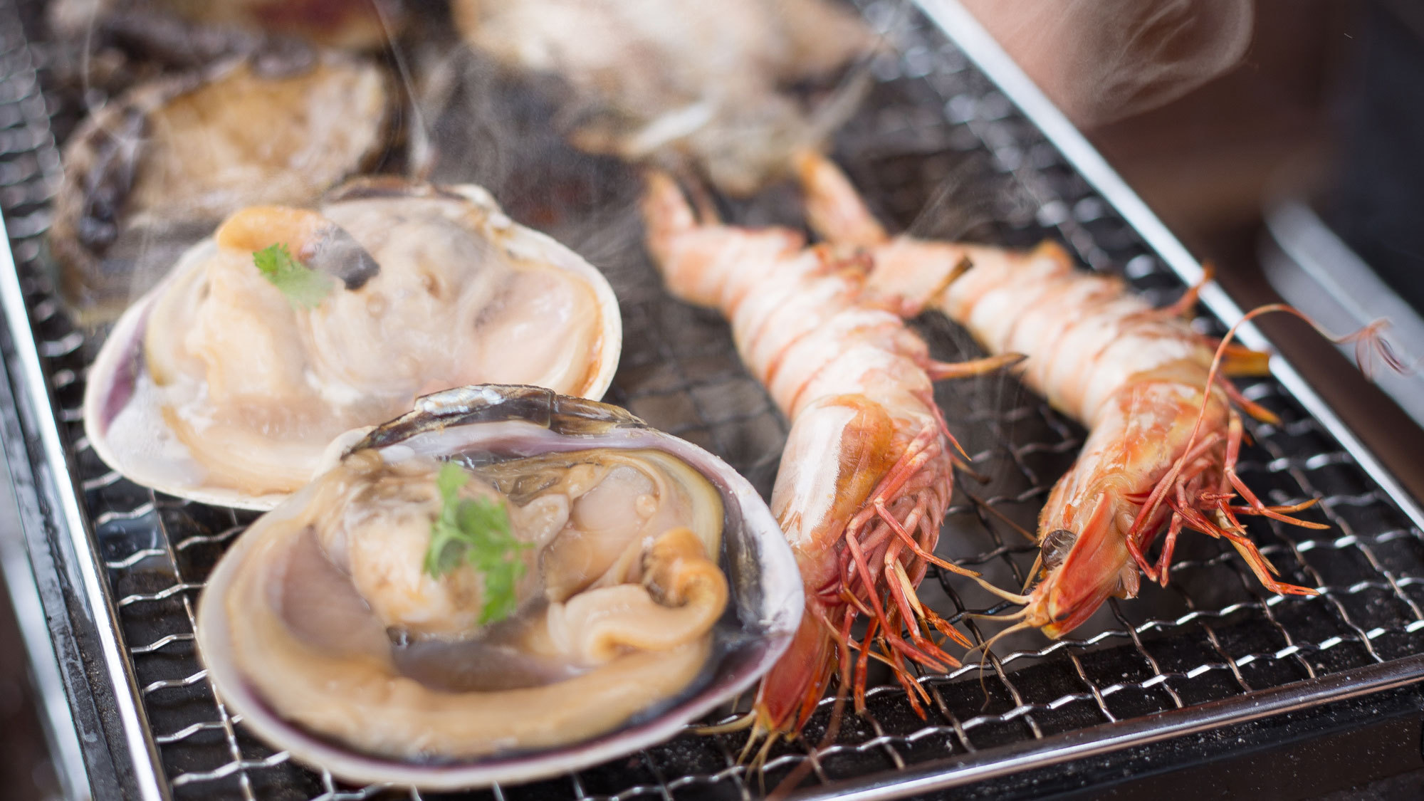 【海辺のサウナで整い放題】貸切サウナ付ログハウス浜焼きBBQ付！1泊2食付宿泊プラン