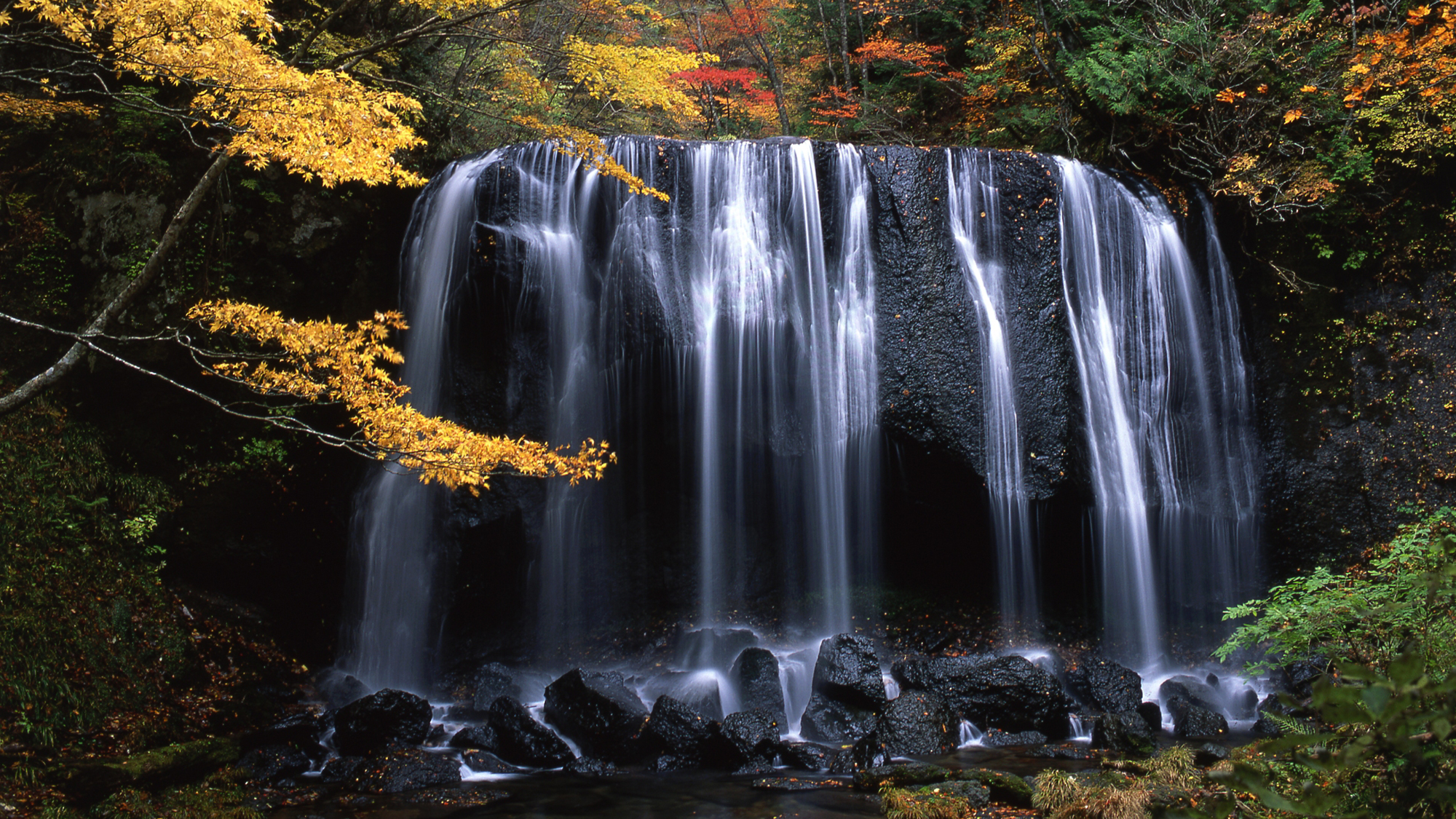 ＜秋＞【秋の小野川不動滝ハイク】広葉樹の美しい色彩とマイナスイオンを存分に楽しめます。